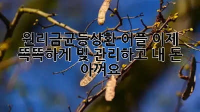 원리금균등상환 어플, 이제 똑똑하게 빚 관리하고 내 돈 아껴요! 💰✨