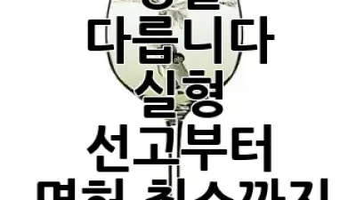 음주운전 처벌, 이젠 정말 다릅니다! 🚨 실형 선고부터 면허 취소까지, 확 바뀐 법률 총정리 🚔