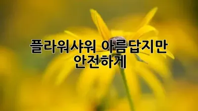 플라워샤워, 아름답지만 안전하게! 🌸
