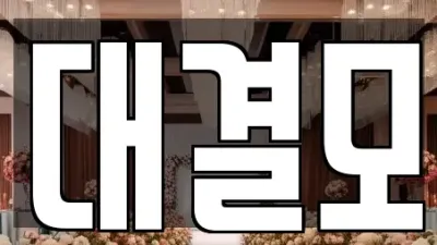 스드메전문 대구광역시 중구 사일동 TOP2 업체 리스트