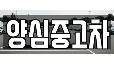 인천광역시 계양구 방축동 근처 중고차 전문 업체 5